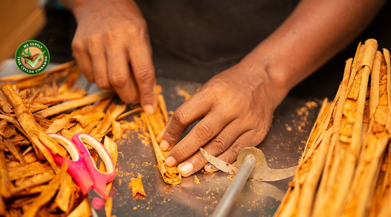 Cinnamon Processing